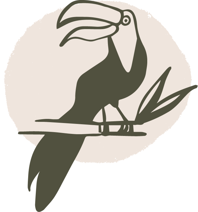 illustration d'un toucan posé sur une branche, sur fond beige